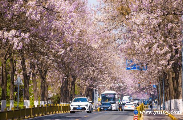 四月，京城有一条“绝美限定”主题游线路，就在北京经开区 